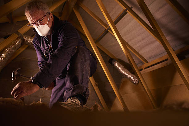 Best Types of Insulation in Ancient Oaks, PA